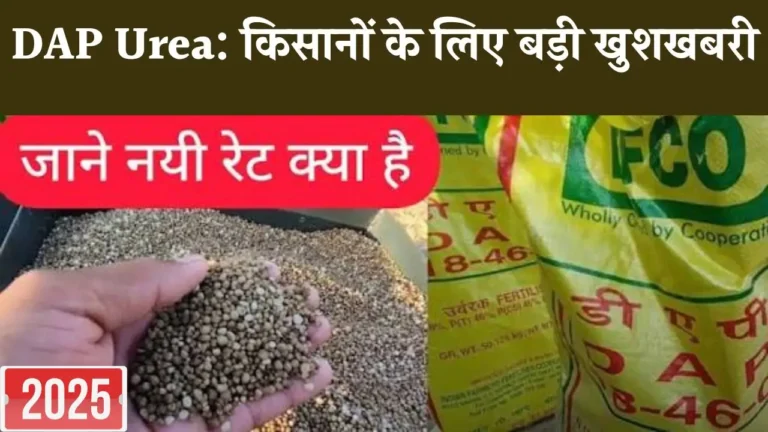 DAP-Urea-Rate