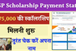 NSP Scholarship Payment Status