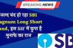 SBI Magnum Long Short Fund